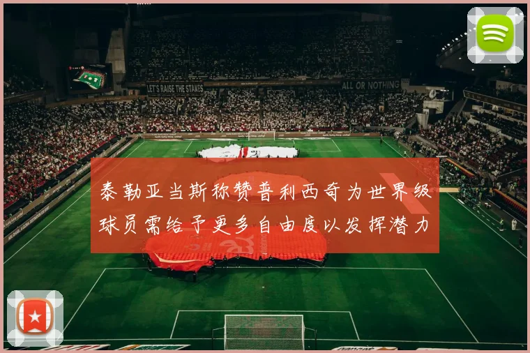 泰勒亚当斯称赞普利西奇为世界级球员需给予更多自由度以发挥潜力