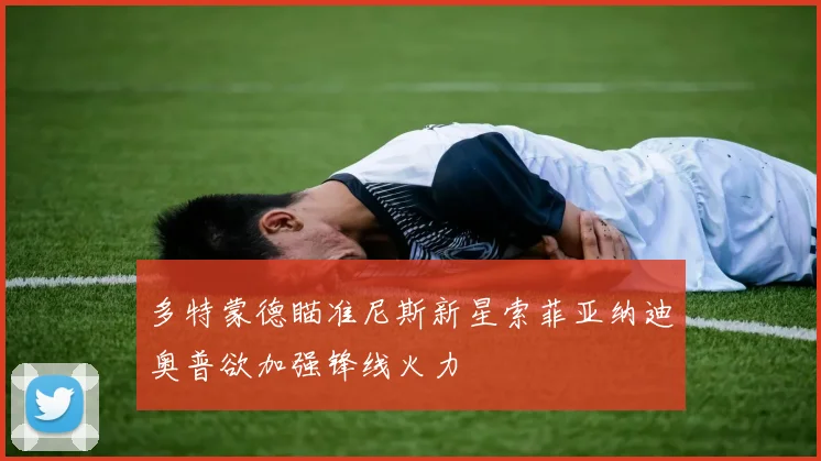多特蒙德瞄准尼斯新星索菲亚纳迪奥普欲加强锋线火力