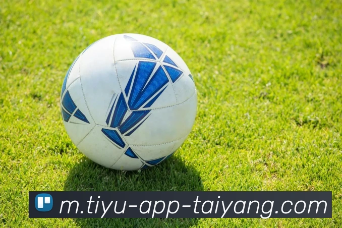 太阳城平台生态图