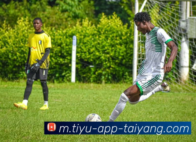 太阳城APP 封面图